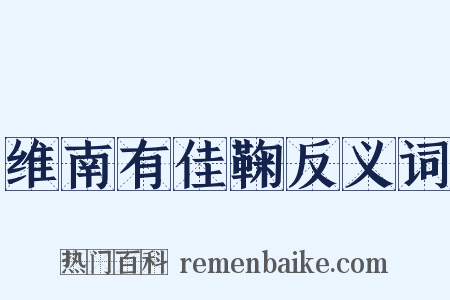 维南有佳鞠反义词是什么意思的图片